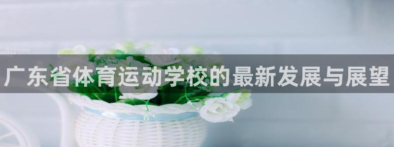 vsport体育官网下载招商电话地址:广东省体育运动学校的最