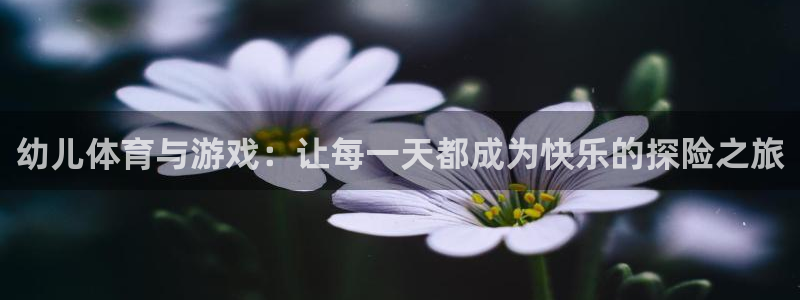 vsport体育官网下载招商电话是多少:幼儿体育与游戏:让每
