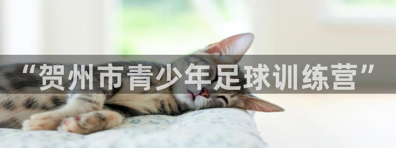 vsport体育官网下载招商电话是多少:“贺州市青少年足球训