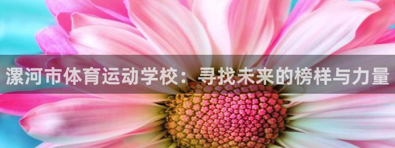 vsport体育官方平台体育:漯河市体育运动学校:寻找未来的